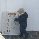 자전거체험학습장 | [제주 아기랑 가볼만한 곳] 서귀포 성산 근처 목장카페 밭디 | 승마·먹이주기·이색자전거 솔직 후기