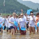 네잎클로버의 메아리 이미지