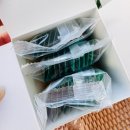 동동이네 노묘도 인정한 :) 오아가뮤커스케어 고양이선물추천 올인원영양제추천