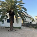 요요정원 이미지