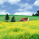 향기로운 - 군포시 한세로66번길 22 | 향기로운