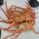 간석 | 인천 맛집 홍게 무한리필 [주문진 붉은대게 간석점] 내돈내산 후기, 주차, 예약, 메뉴