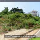 장고항공인중개사사무소 이미지