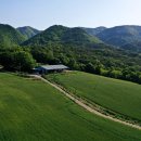 밀밭농장 이미지