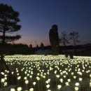 로즈가든 이미지