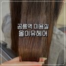 공릉미용실 올이유헤어 가은실장 헤어클리닉 솔직후기 | 1:1 여자머리전문