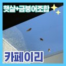 부광기획 | 익산 카페이리 후기｜천장 금붕어 어항이 있는 이색카페
