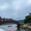 근덕면복지회관 | 동해, 삼척 여행 : 국내 스노쿨링 명소 삼척 장호항 후기, 꿀팁, 준비물, 주차, 가격