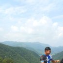 달리다꿈 이미지