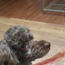 (주)새난