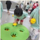 팀퍼스트 태권도장 이미지