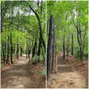 소실봉근린공원 이미지