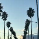 숲섬민박 이미지