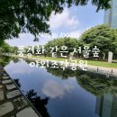 2021-03-0628 | 풍경화 같은 서울숲 산책 갤러리아포레 전시회 전시정보(디뮤지엄, 최준 벽화 위치)