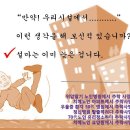 세이프죤 Daum카페