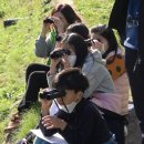 순천삼산초등학교 이미지