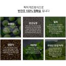 프롬안스