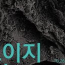 2024년 11월 공연 이미지