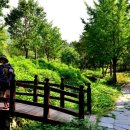 금강1농장 이미지