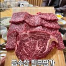 금수산한우명가 | 용봉동 소고기 맛집 금수산 한우명가 - 소고기퀄리티 너무좋음 ..