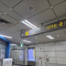윙키핑키 | 영등포 고양이카페 윙키핑키