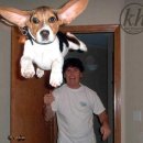 왕초보 이모티콘 만들기 이미지