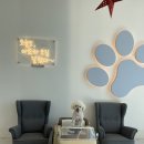 아로하스토리 이미지