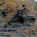 솔내음약국 이미지