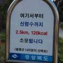 나리 신령수 이미지