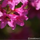 대구광역시시지노인전문병원 이미지