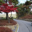 GS휘트니스 이미지