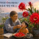 ＜화옹＜和翁＞ 시(詩) 단상(斷想)＞ 사탄약용(四綻藥用) 공작선인장(孔雀仙人掌) 이미지