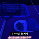 관리낚시터 | [수유] 동대문 실내데이트 추천 가자실내낚시터 솔직후기