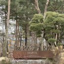 파라스파라 서울 팀버 스위트 내돈내산 후기, 놀거리 자쿠지 요금 꿀팁