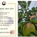 그린메디 이미지