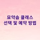 묘약솝 이미지