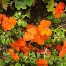 대구역광장 이미지