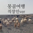 울란바토르여행 시내 투어 찐 직장인 하닥투어 자유여행후기 🐏