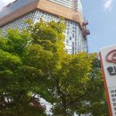 초심 태양광발전소 이미지