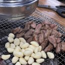 황소고집 이미지