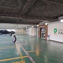 평촌 탑 골프연습장 이미지