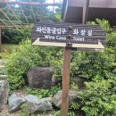 (12/16) 성인_달콤 화과자 | 무주가볼만한곳 머루와인동굴 와인시음 와인 족욕체험 후기