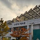 고양어울림누리 | 고양 어울림누리 수영장 체육관 주말 자유수영 일일입장 가격, 시간 방문 후기