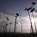 경정장후문 이미지