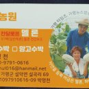 설곡천 이미지