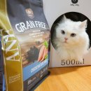 이웅식품 | 고양이 사료 ANF 그레인프리 치킨&야채 후기