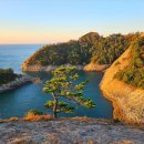 조은사람 이미지