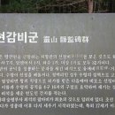 영산 현감비군 이미지