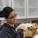 하이펫동물병원 | 파주 반려동물 병원·24시간 응급 동물병원 리스트!