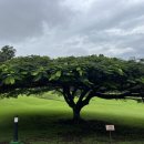 산호세 농장 이미지